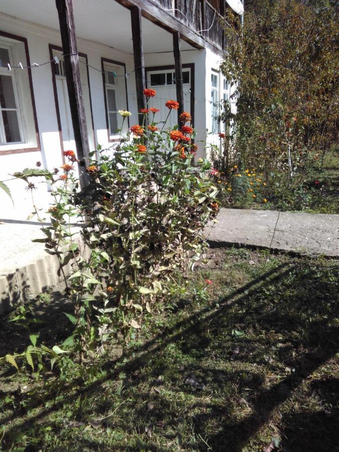 Orbeli Lejlighed Eksteriør billede